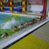 Nauka pływania 2012